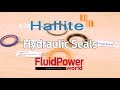 A look at the complex wide variety of hydraulic seals from Hallite