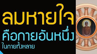 ลมหายใจเข้า ลมหายใจออก คือกายอันหนึ่ง ในกายทั้งหลาย | ความเพียรเผากิเลส