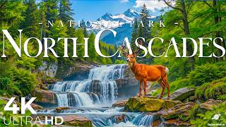 North Cascades 4K 🌲 America’s Hidden Mountain Paradise & Diablo Lake Serenity