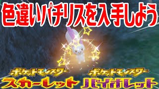 【ポケモンSV】色違いパチリスを入手しよう【ポケットモンスター スカーレット・バイオレット】Pocket Monsters