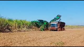 John Deere CH 950 com caminhão transbordo Grunner #sugarcane #harvester #machine #brasil#agriculture