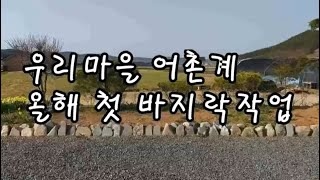 2019 04 08 우리마을 어촌계 올해 첫 바지락작업