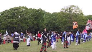 楓穴会Withトモヒロ　あっぱれ富士２０１５　芝生ステージよってかっさい