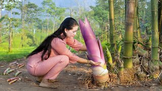 Harvesting Amazing Super Large Bamboo Shoots - Cooking With Summer Cooling Dishe