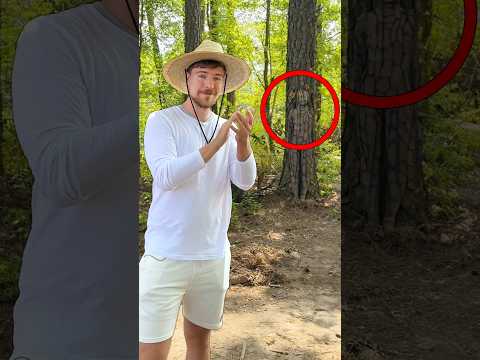 Spot The Hidden People For 10 000 Transcript Chat And Summary With