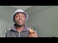 jollof rice with suya and chicken review calabar kitchen canada