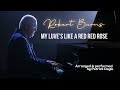 My Luve's Like A Red Red Rose (Robert Burns) - performed by Patrick Doyle (Official Music Video 4K)