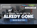 DJ ALREDY GONE BASS BLEYER X MELODY SPECTRE. DOUBLE D MUSIC X BUDESIGN CUSTOME