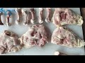 chicken thigh/drumstick deboner deboning machine