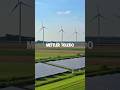 Sustainable Supply Chain Solutions | METTLER TOLEDO Industrial