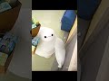 this is so cute baymax periods period pad tampon