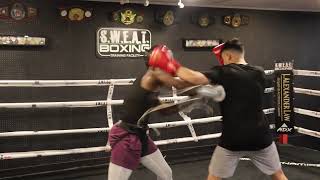 Light Boxing Sparring (2024)