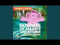 Sounds of Allah's Creations