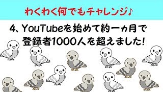 チャンネル紹介＆YouTube１ヶ月で登録者1000人ありがとう♪