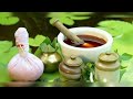 કદંબ neolamarckia cadamba aushadhihealth tree ayurveda