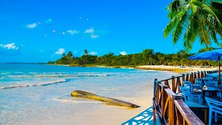 Caribbean Cafe Ambience with Smooth Bossa Nova & Ocean Waves ☕ Coffee Shop Ambience for Work, Sleep
