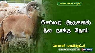 செம்மறி ஆடுகளில் நீல நாக்கு நோய்  | வேளாண் தொழில் நுட்பம் | Agricultural Technology  | 15 - 04 -2022