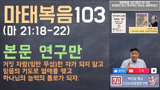 [본문 연구만] 마태복음 103 (마 21:18-22) 잎(말)만 많고 형식적인 성도는 심판하신다