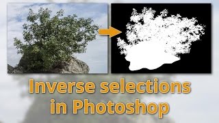 Inverse selections in Photoshop - Easily select complex objects