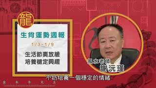 01/03-01/09｜兔 龍 蛇｜2022風水生肖運勢週報