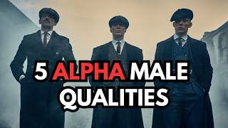 5 ALPHA Male Qualities (Are You An Alpha ?)