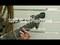 Ernie Ball︱FlexTune︱feat. Amanda(dizLike)