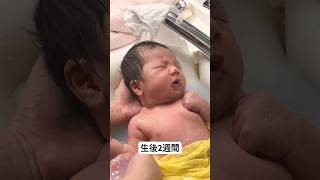 赤ちゃん入浴シーン 生後2週間と3ヶ月 #赤ちゃん #baby #生後3ヶ月 #お風呂 #子育て #cutebaby #cute #family #家族 #癒し #赤ちゃんのいる生活 #新生児