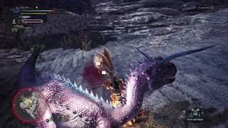 MHW - Iceborne Dual Blades Kadachi Greathawks II (Testing)