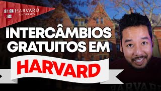 COMO FAZER UM INTERCÂMBIO EM HARVARD DE GRAÇA?