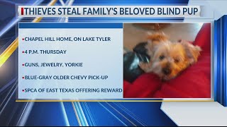 DOGNAPPING: Thieves steal family's beloved blind pup