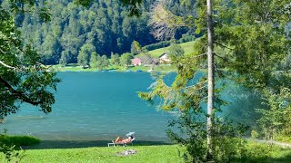 The Small Village in the Canton of Schwyz in central Switzerland - Innerthal 🇨🇭