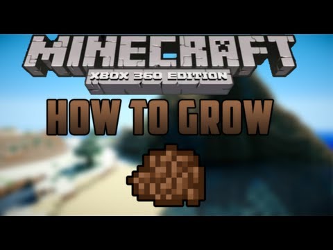 How To Grow Cocoa Beans! - Minecraft (Xbox 360) - YouTube