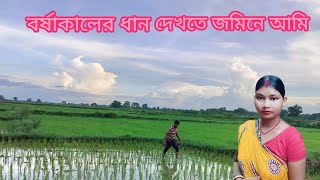 প্রকৃতি মাঝেই ধান জমি ঘুরে দেখা,,,