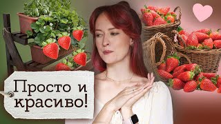 Стеллаж для цветов и клубники своими руками | Masherisha