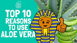 TOP 10 REASONS TO USE ALOE VERA