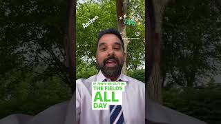 Why are Pollen Counts So High Right Now? - Premier Allergy & Asthma - Central Ohio's #1 Allergists
