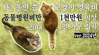 1년 동안 사용한 고양이 양육비는 얼마일까? | 동물병원비만 1천만원 썼습니다 | 2024년 결산