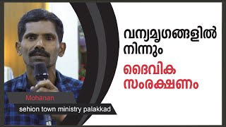 വന്യമൃഗങ്ങളിൽ നിന്നും ദൈവിക സംരക്ഷണം