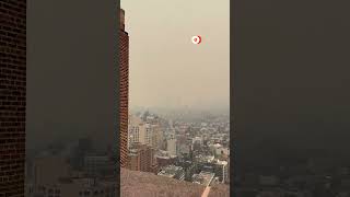 Video shows New York before and after wildfire smoke