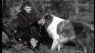 Lassie - Episode #162 - \