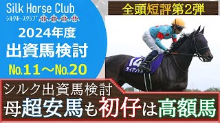 【一口馬主】シルク募集馬全頭短評☆母もシルク出資の激安馬！初仔は高値で募集の期待馬！出資者目線で価格抑えて欲しかったな・・・