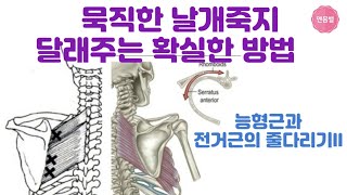 [멘몸밸]짧아진능형근늘리고 늘어난 전거근 돌려놓기. 능형근이완운동 전거근강화운동