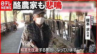 【牛乳ピンチ】11月1日から値上げ  新商品や国産チーズで消費促進へ