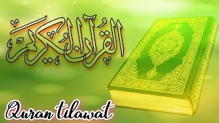 Daily Beautiful Quran tilawat#alquran #quran #surah )#tilawat #beautiful #quranrecitation #viral