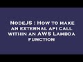 NodeJS : How to make an external api call within an AWS Lambda function