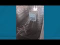 WATCH: FBI releases new surveillance video of Multnomah County ballot box fire