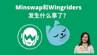 Minswap和Wingriders发生什么事了？ #ada币 #挖矿  #币圈 #质押