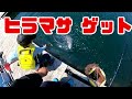 【海上釣堀】ＧＷ釣行３日目！！釣りガール奮闘！！『和光』