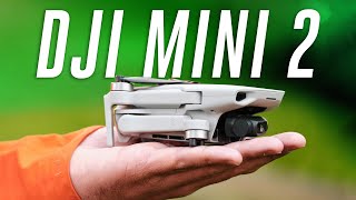 The best drone under $500 (DJI Mini 2 review)
