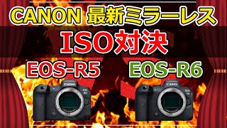 【 ISO比較】CANON EOS-R5 VS EOS-R6 高感度対決 キャノン最新ミラーレスカメラ